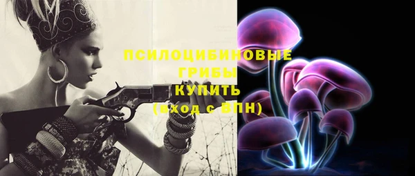 Альфа ПВП Армянск