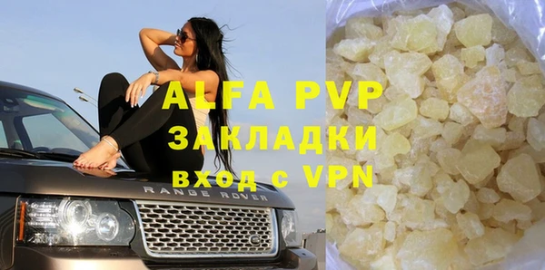 амф Снежногорск